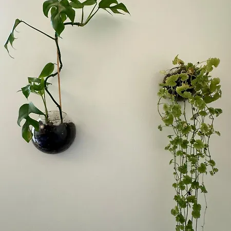 Appartement Botanical Bliss In