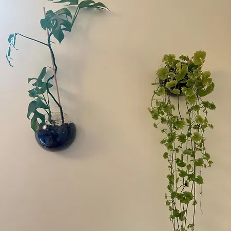 Botanical Bliss In Appartement *