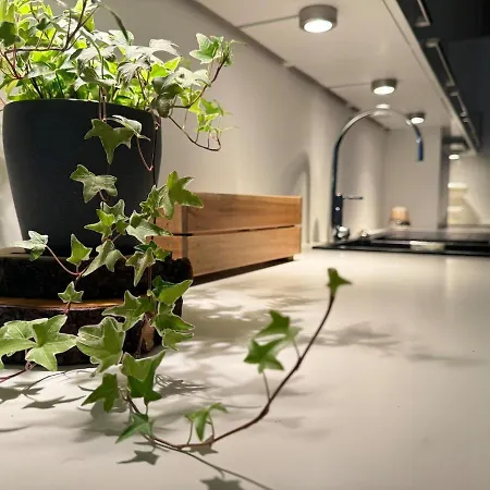 Botanical Bliss In Appartement