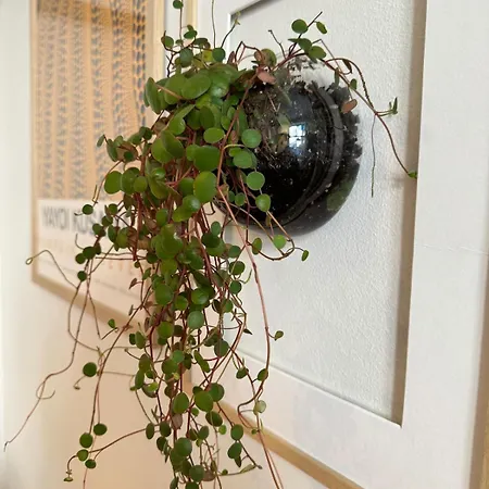 Apartment Botanical Bliss In Oslo