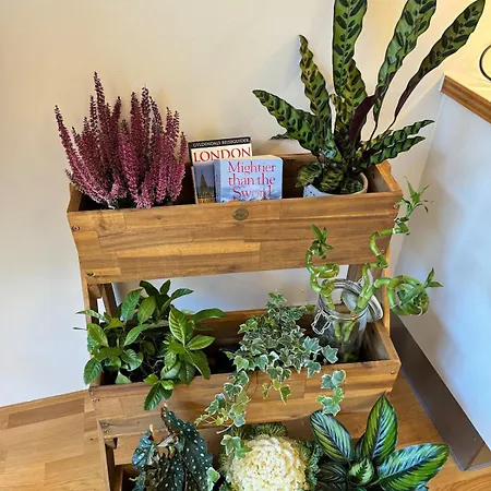 Apartment Botanical Bliss In