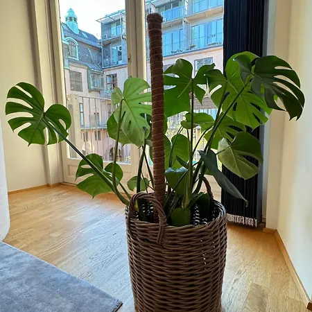Apartment Botanical Bliss In
